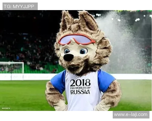 如何购买足球明星卡片了解渠道和购买途径的完整指南